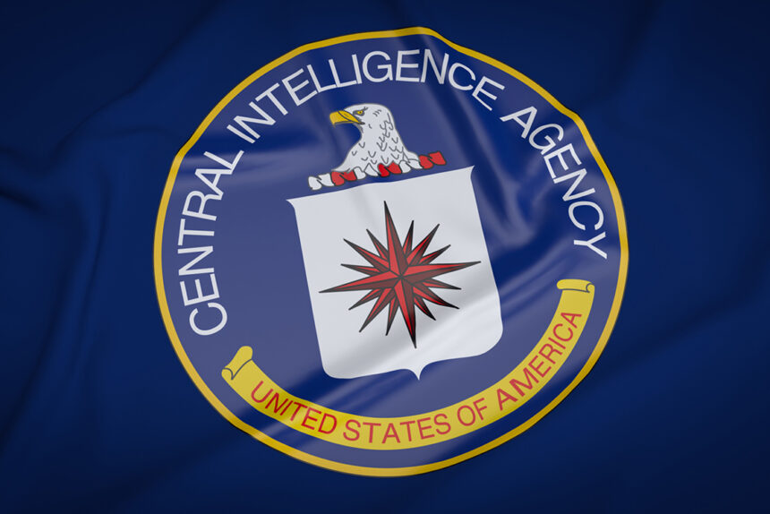 Former CIA software engineer who leaked to WikiLeaks sentenced to 40 years