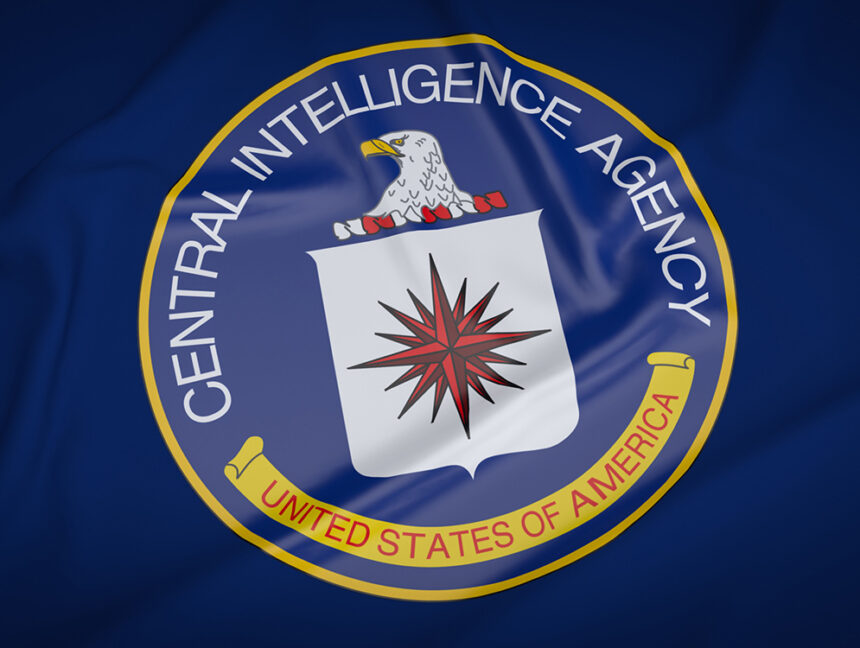 Former CIA software engineer who leaked to WikiLeaks sentenced to 40 years